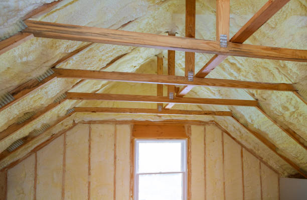 Best Professional Insulation Contractor  in Winooski, VT