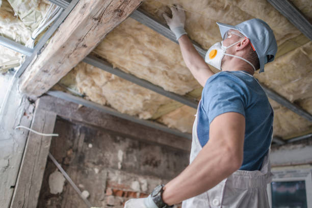 Best Insulation Removal Services  in Winooski, VT